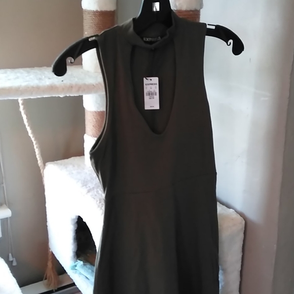 Express Stretch Fun 👗Dress - Picture 4 of 4